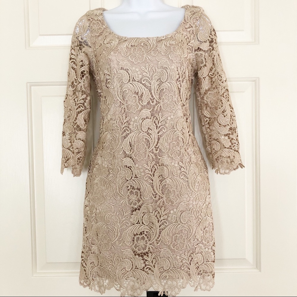 White House Black Market Lace Cocktail Dress Sz 0 - Picture 1 of 10
